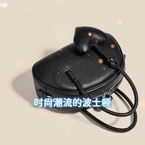 Niche high-end Boston pillow bag trendy and versatile shoulder handbag 2024 New Fashionable Womens Bag