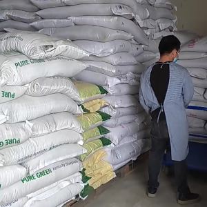 批发草坪草种公园绿化草种批发绵阳草坪草种子工程草籽成坪