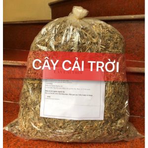 cây hạ thảo khô 1kg