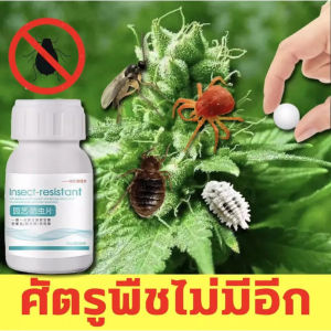 เม็ดกำจัดแมลง กำจัดศัตรูพืช ป้องกันแมลงต่างๆ ปกป้องต้นไม้ ปกป้องไม้ดอก ไม้ประดับ ไม่เป็นอันตรายต่อคน ต้นไม้ และส้ตว์เลี้