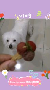 Cone ice cream HOMEMADE