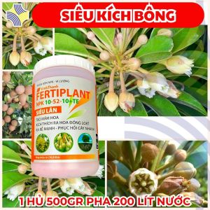 FERTIPLANT 10-52-10+TE SIÊU LÂN CHO CÂY MĂNG CỤT | Kích Mầm Hoa – Ra Hoa Đồng Loạt – Dưỡng Bông Khỏe – Tăng Đậu Trái – Hàng Nhập Khẩu Đức – 500G