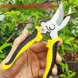 Garden Pruning Grafting Shears Gardening Scissors Plant Flower Fruit Tree Branch Hands Pruner Cutter