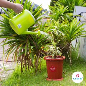Siraman Bunga Tanaman Hias Claris 3 LITER Alat Penyiram Siram Pohon Premium - CLARIS 3 LITER 5952