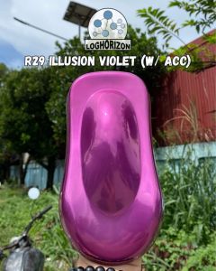 1KG ILLUSION VIOLET - R29 - POWDER COATING PAINT