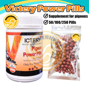 Victery Digestion for racing pigeon Pang kundisyon ng pangarerang kalapati Victery champion pill Pigeon Supplement