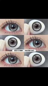 PAMPAS Softlens Brown Warna Lensa Kontak 1Pasang  Softlens Purple Gray Big Eyes Lensa Kontak 14.5mm use 12 Months