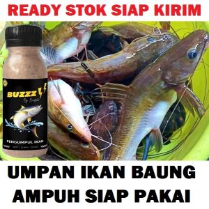 UMPAN IKAN BAUNG PALING AMPUH SIAP PAKAI | BUZZ by BOOSTRIKE