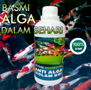Algae Distoyer Anti Algae Anti lumut dan Parasit Obat Pembasmi Lumut Kolam ikan hias dan Aquarium 500 ml