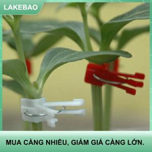 【LAKEBAO】 100 cái nhựa ghép Clip vườn cây rau phẳng và tròn