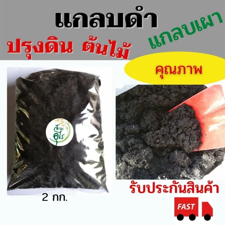 แกลบดำ แกลบเผา ขี้เถ้าแกลบ 2 กก. สำหรับปรุงดิน