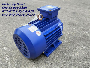 Bán motor điện 3pha 22kw tua nhanh 300v/p Toàn Phát giá rẻ