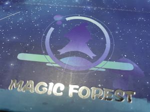<Local Seller> Magic Forest Elves 魔法森林小精灵 | Brand: Fetish Go | POP Mart Toy Collection Figure