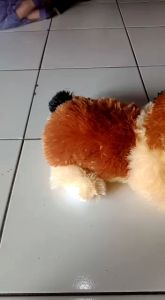 Boneka Kucing Belang Cat Doll Lucu Lembut Murah