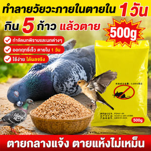 กำจัดพิราบและนกทุกชนิด ยาฆ่านกพิราบ500g ยากำจัดนกพิราบ ทำลายอวัยวะภายในตายใน 1วัน แห้งเร็วและไม่มีกลิ่น ยาเบื่อ นกพิราบ กินง่ายตายไว ชนิดไม่ต้องผสมอาหาร เหยื่อกำจัดนกพิราบ ไม่มีนกรบกวน