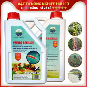 Phân Bón Vi Sinh PSEUDO BACILLUS: Đối Kháng Nấm Gây Bệnh Rễ Thân Phòng Ngừa vàng Lá Thối Lở Cổ RễPhục Hồi Nứt Thân Xì Mủ - Chai 2 Lít