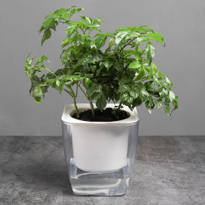 Self Watering Planter Plant Pot for Indoor Plants Flower Pot with Wick Rope High Drainage Planter Plastic Flower Pot