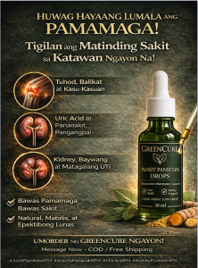 Green Cure "Ulasimang-Bato" or "Pansit-Pansitan" Drops. Natural Anti-Inflammatory Supplements. Gout and Arthritis Treatment Anti-inflammatory & Analgesic High Uric Acid  Kidney Health (Diuretic) Nakakababa ng Cholesterol