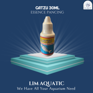 GATZU 30 ML ESSENCE PANCING