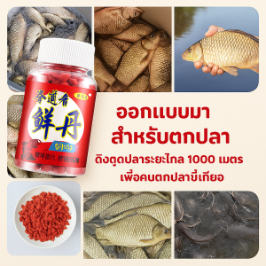 บล็อกเหยื่อ ความลับ แหล่งท่องเที่ยวปลา เหยื่อโปรตีนจากสัตว์ วัตถุดิบที่ดี ตกปลาดี กีฬา อุปกรณ์ตกปลา