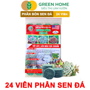 Mua 5 tặng 1 -  Phân Bón Sen Đá Greenhome Gói 24 Viên Kích Rễ Lên Màu Chuẩn Dùng Cho Cây Mọng Nước Xương Rồng