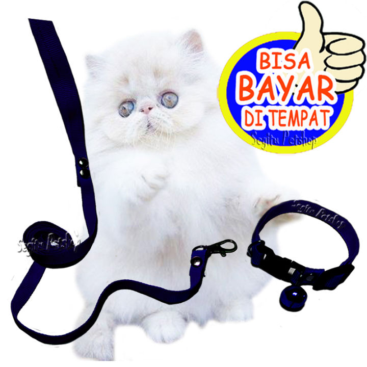 tali kucing jalan jalan harness o kucing model di leher tali tuntun kucing tali kucing dan kalung kucing lonceng kalung kucing Dan tali pannjang 1.5  meter untuk semua ukuran kucing