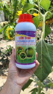 [Freeship Max] LỚN TRÁI phân bón chuyên cam quýt bưởi giúp bóng trái nặng ký ngon ngọt mỏng vỏ bóng trái chai 500ml_VTNN TRUNG THIEN THINH