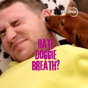 Logic Star Sticks Dental Chews Jar 265g - Chicken - Dog Treats  Oral Care