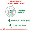 Royal Canin Mini Adult (8kg) Dry Dog Food - Size Health Nutrition. 
