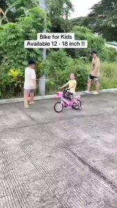 Basikal Budak 12 / 16 Inch Training Wheels Pink Princess Bike with Basket for Girls Gift
