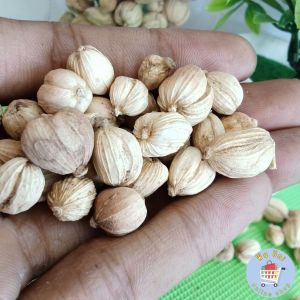 250 gram | Kapulaga - bumbu dapur - rempah - herbal - penyedap