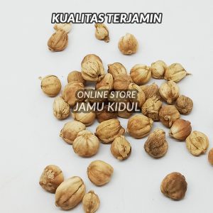 Kapulaga 100gr / Kapulogo Kering Asli Hutan - Lebih Harum