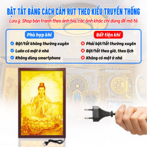 Đèn Hào Quang In Tranh Trúc Chỉ Dọc Quan Thế Âm Bồ Tát Trang Trí Bàn Thờ Phòng Thờ Treo Tường TC-TE-02