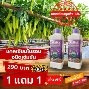 (1แถม1) CABMAX แคลเซียมโบรอนและโบรอนเข้มข้น ใช้ได้กับพืชทุกชนิด ทุกระยะ เร่งดอก เร่งผล ขั้วเหนียว