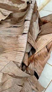 ( 1/2 kg ) DAUN PISANG KERING/KALARAS media untuk jangkerik