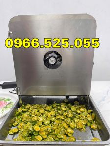 Máy thái lát quả sung thái lát măng thái lát hành -  Máy bào sợi cà rốt xu hào khoai tây... chạy điện kết hợp quay tay