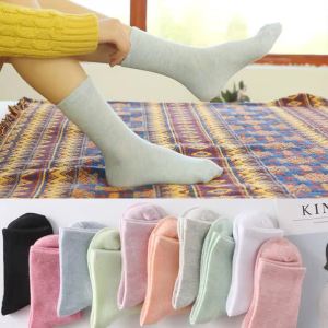 Solid Color Cotton Socks Autumn and Winter Candy Color Ladies Cotton Socks Mid-Calf Street Vendor Womens Socks Floor Socks Factory Direct Wholesale
