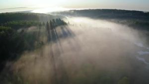 [Reday stock]Avène Tolerance Control Soothing Skin Recovery Cream for Hypersensitive Dry Skin Restores Skin Barrier Calms sensations of skin discomfort Sterile Pump Face Moisturizer Fragrance-Free 1.3 Fl Oz