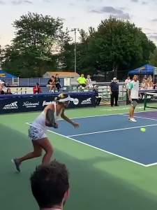 Glass Fiber Carbon Fiber Pickleball Paddle USAPA Certified for Adults Kids Training Competition