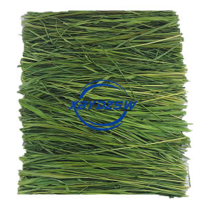 Drying Golden Oat Grass Grass Grain Rabbit Food Feed 500g
