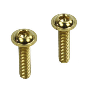 2pcs Titanium Bolts Easy Wheels Easywheel Screws M6 x 25mm for Brom pton 3SIXTY Pikes Aceoffix Trifold Folding Bike Rear Rack Wheels Accessories