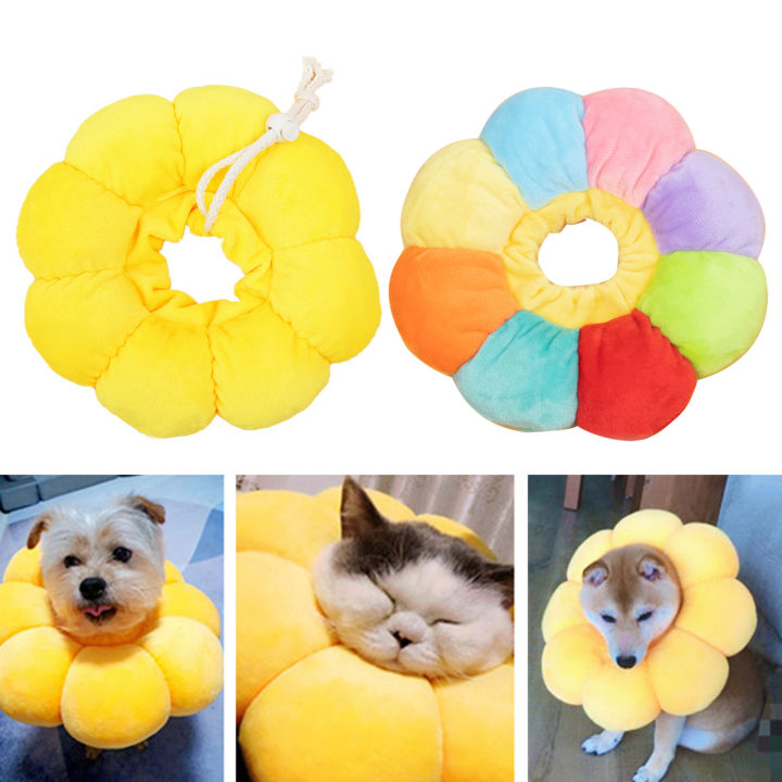 1pc Adjustable Sunflower Shape Pet Cat Dog Circle Collar Neck Cone Protection Supply Lazada PH