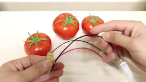 Hands on Power Generation Model Assembly Toy Children Educational Toy Teaching Tool for Science Physics Experiment