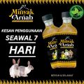 Pati Minyak Arnab Jantan | Kuatkan Kotey | Kebas Kaki Tangan | Sakit Lutut | Kembung Perut | Buang Angin | Lumpuh | Rawat Urat. 