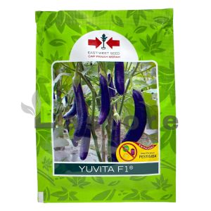 Benih Terong Ungu YUVITA F1 Isi 1100 Butir Cap Panah Merah
