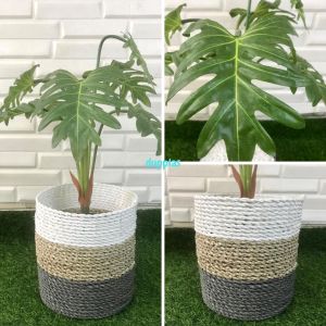 Pohon Artificial Tanaman Hias Daun Jari Philo X7 Latex Cover Pot Anyaman Seagrass Variasi Warna Dekorasi Cafe