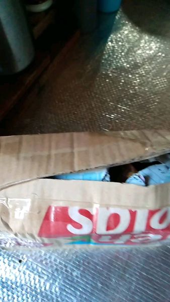 Buyer review video 3