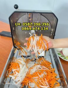 Máy thái lát bào sợi rau củ quả 2 trong 1 thái sợi cà rốt đu đủ củ cải su su hành tỏi ớt xả măng tươi măng củ