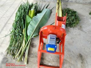 Máy chuyên dùng băm nhỏ cây chuối cỏ voi thân cây ngô . sử dụng động cơ 15kw 100% lõi đồng