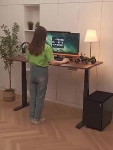 Urban EchoProfessional Ergonomic Dual Motor -Anti-Collision Three Segment Adjustable Table Muerkkk1.